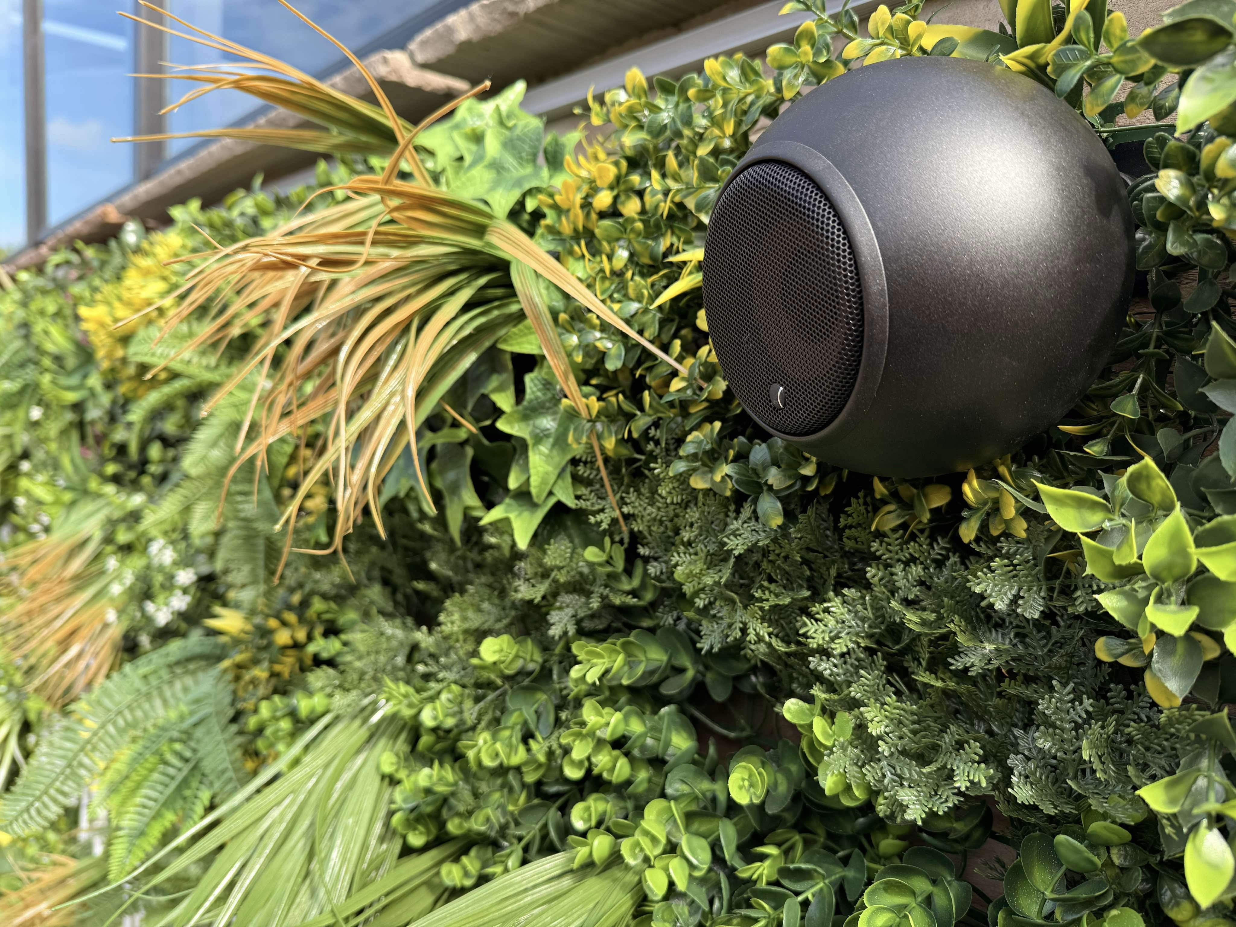 Discover the Micro, A’Diva and Habitat Series by Gallo Acoustics – Premium Compact Speakers for Every Space