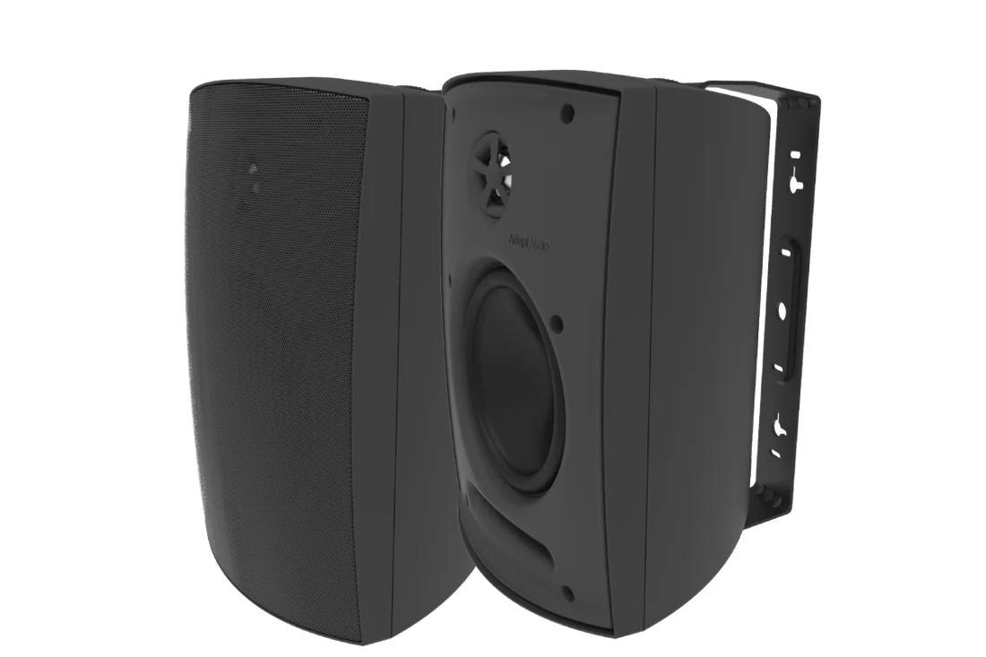 Adept Audio IO60 6.5 Inch Indoor/Outdoor Speaker