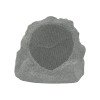 Adept Audio ROCK80 8 Inch Rock Speaker